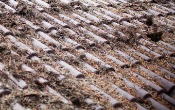 Tye Common roof cleaning companies